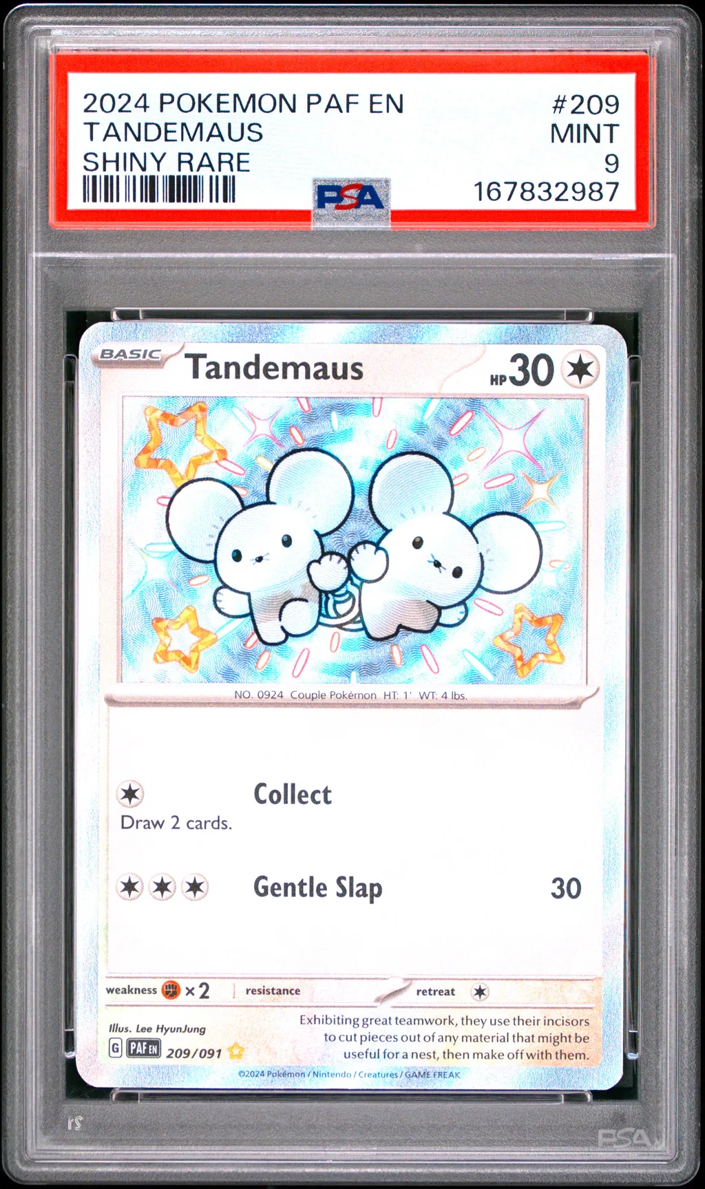 Tandemaus card artwork