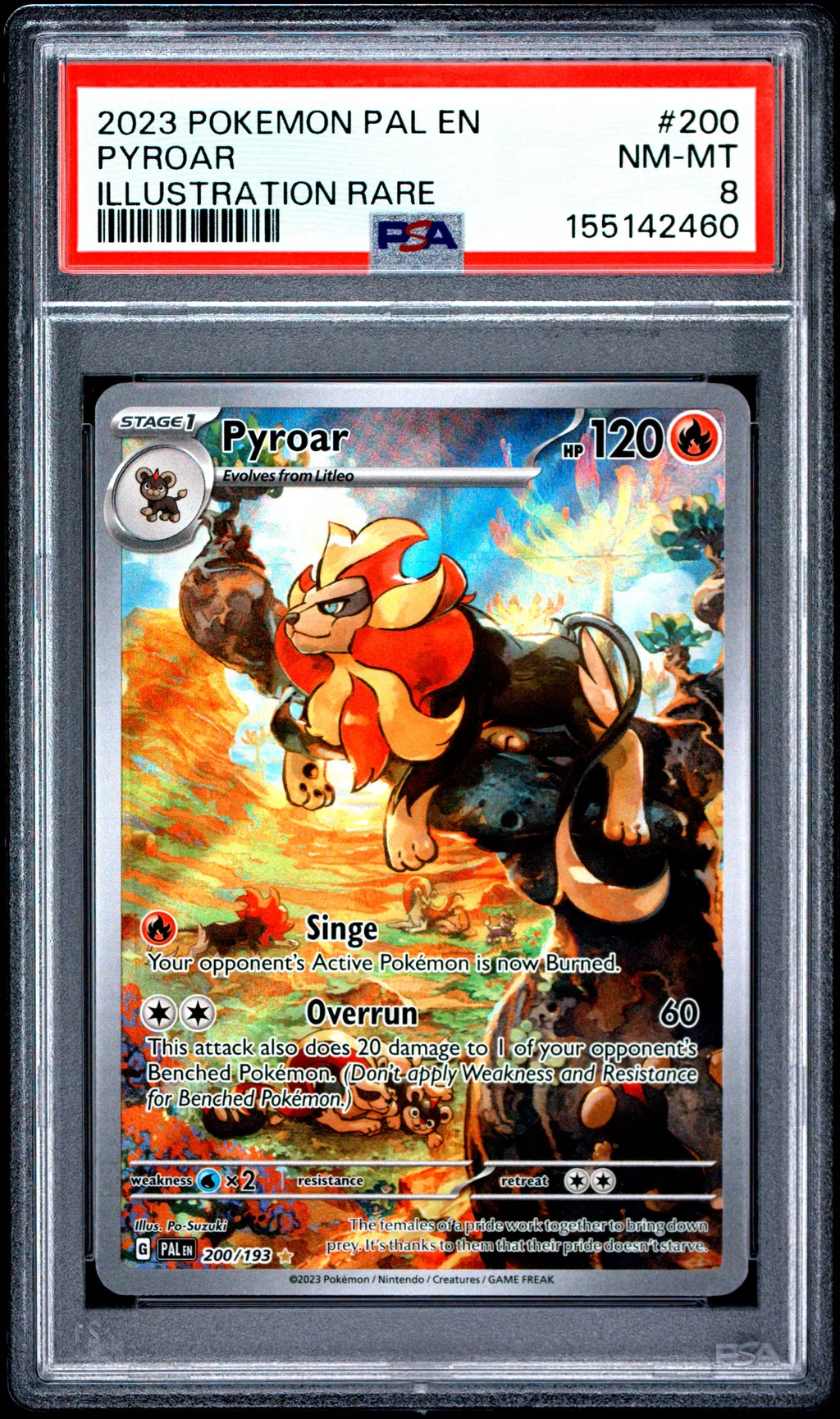 Pyroar card artwork