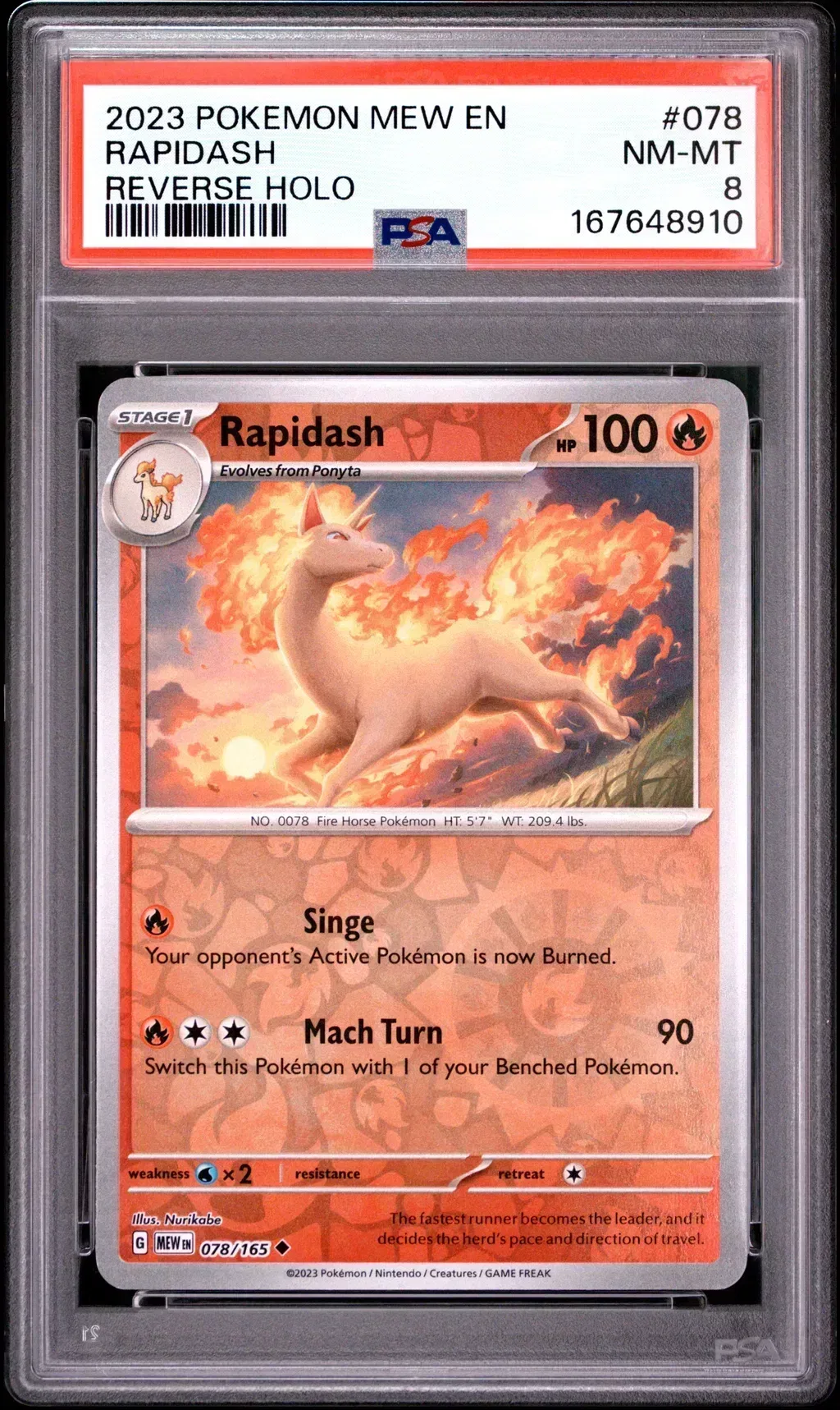 Rapidash card artwork