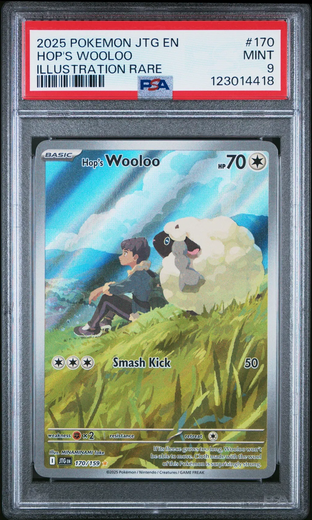 Hop's Wooloo card artwork