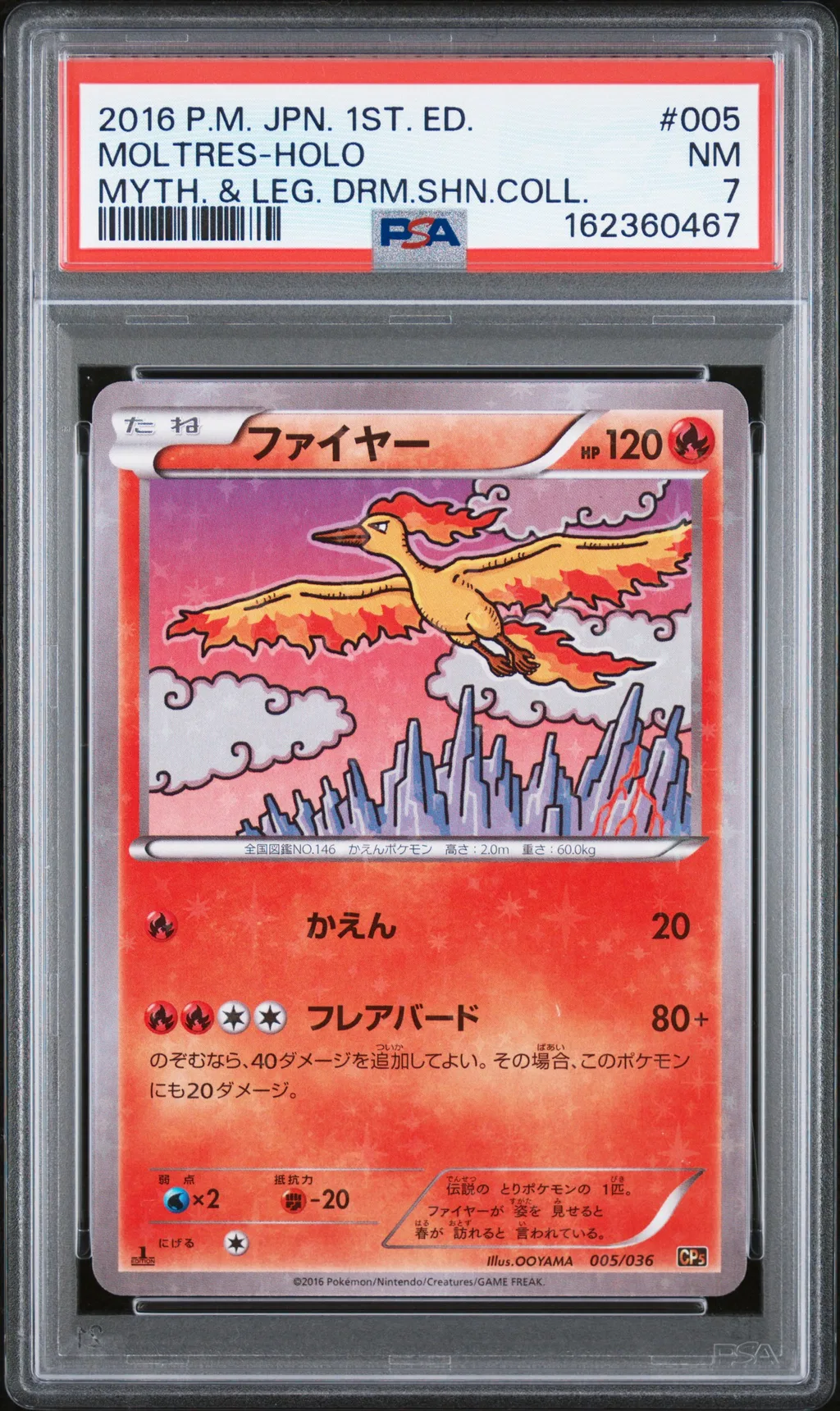 Moltres-Holo card artwork