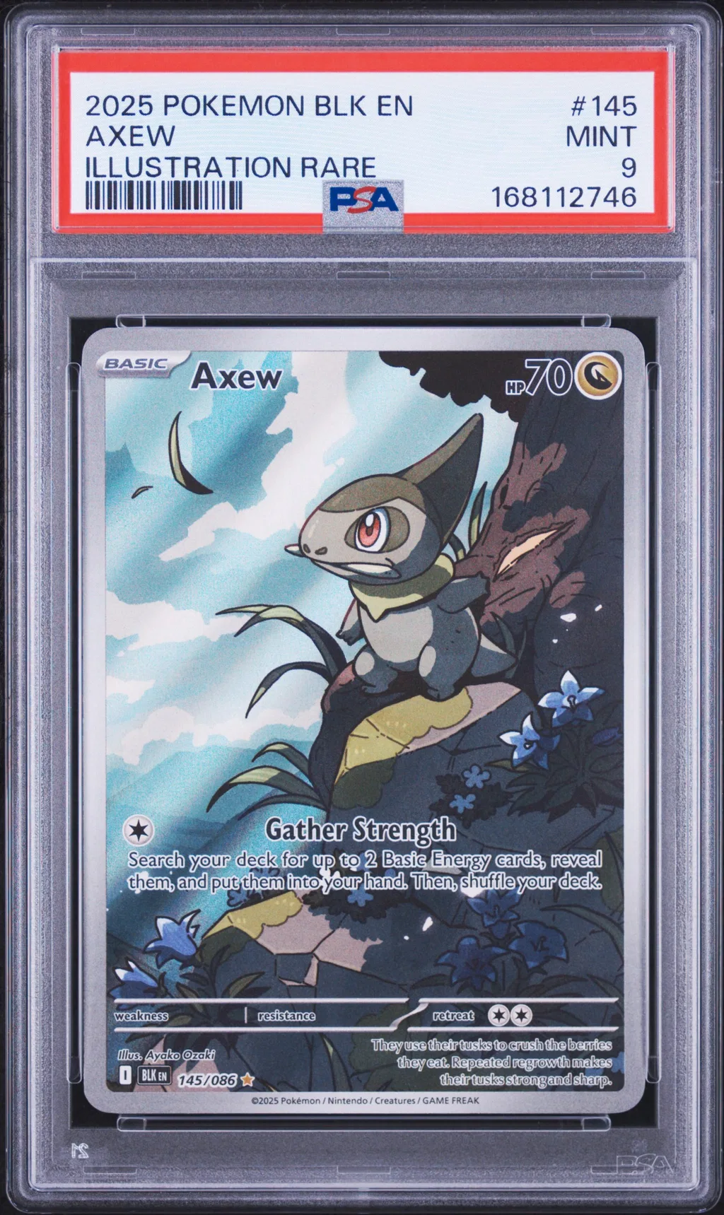 Axew card artwork