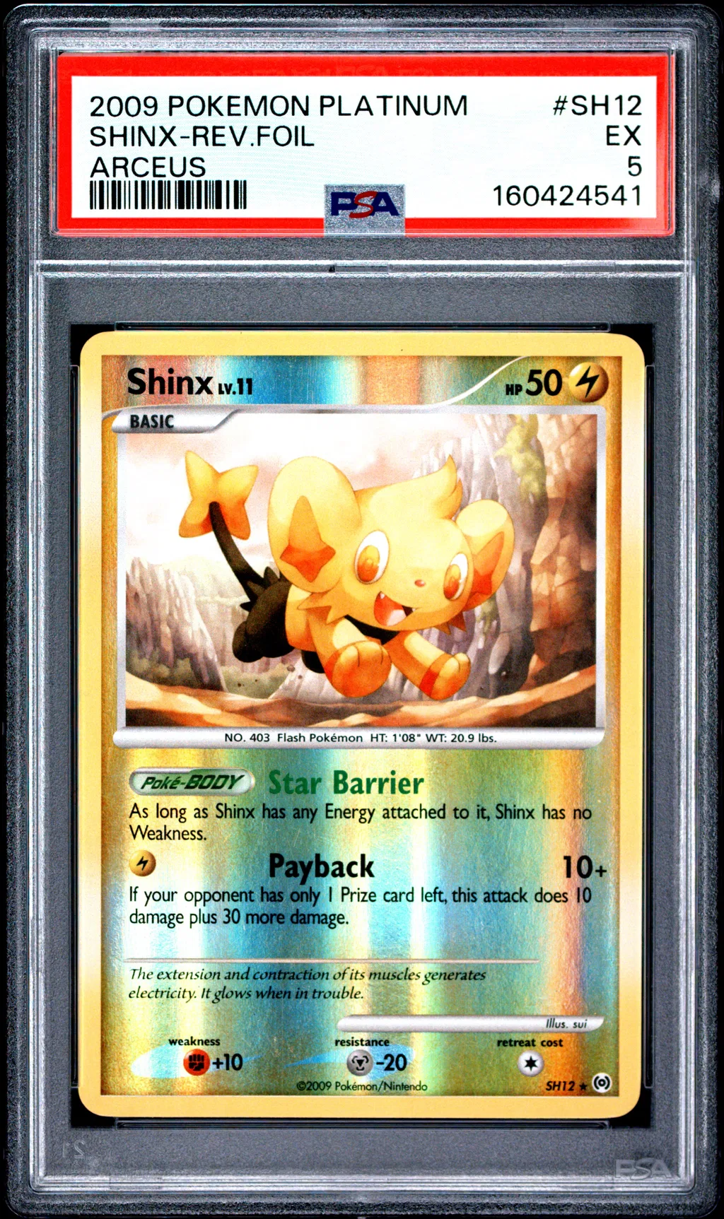 Shinx-Reverse Foil card artwork