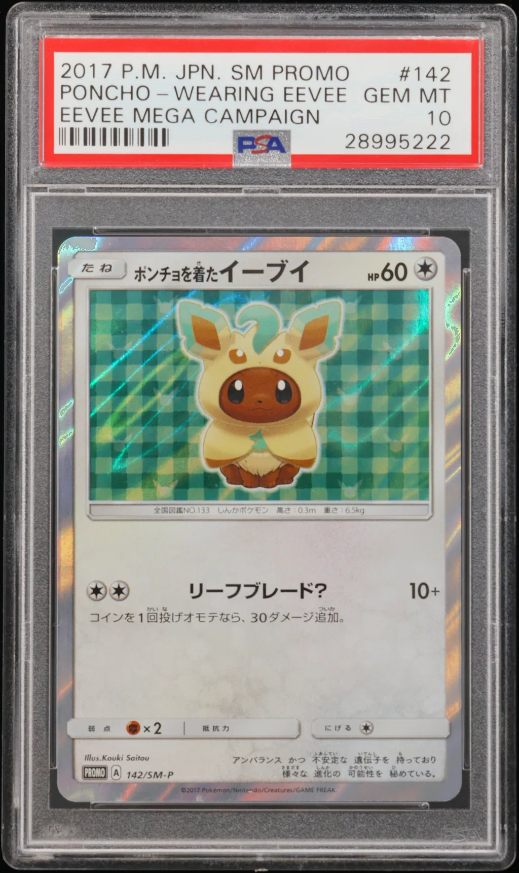 Poncho-Wearing Eevee card artwork
