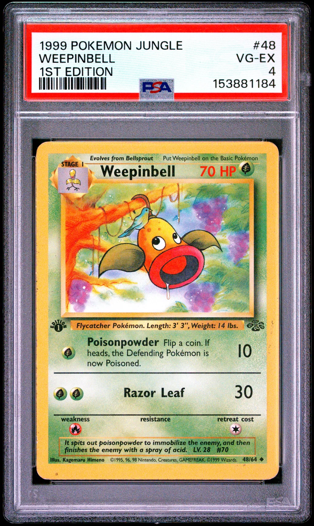 Weepinbell card artwork
