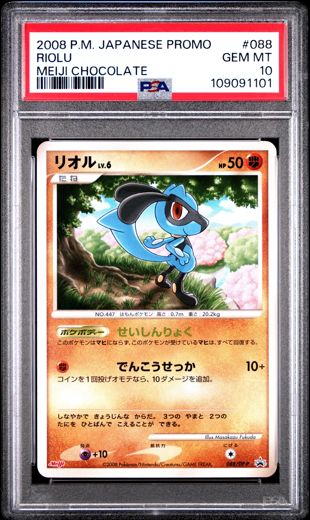 Riolu card artwork