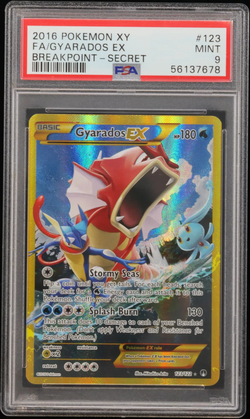 Full Art/Gyarados EX card artwork