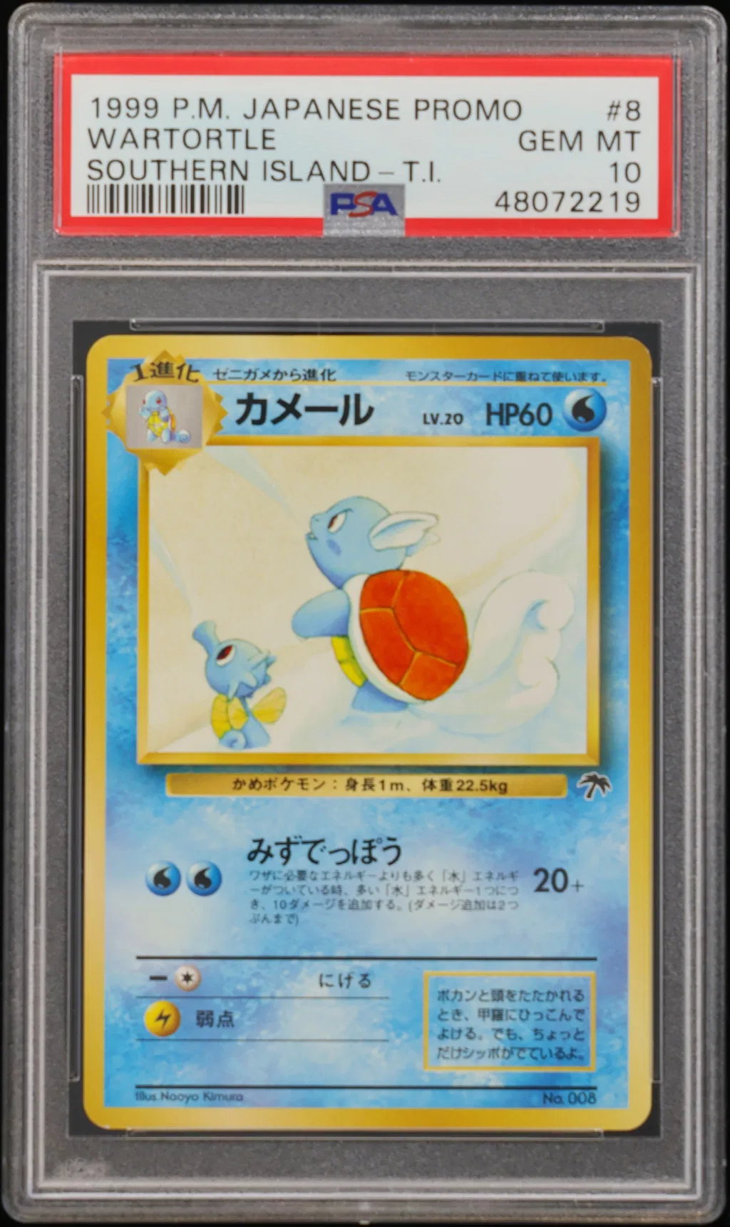 Wartortle card artwork