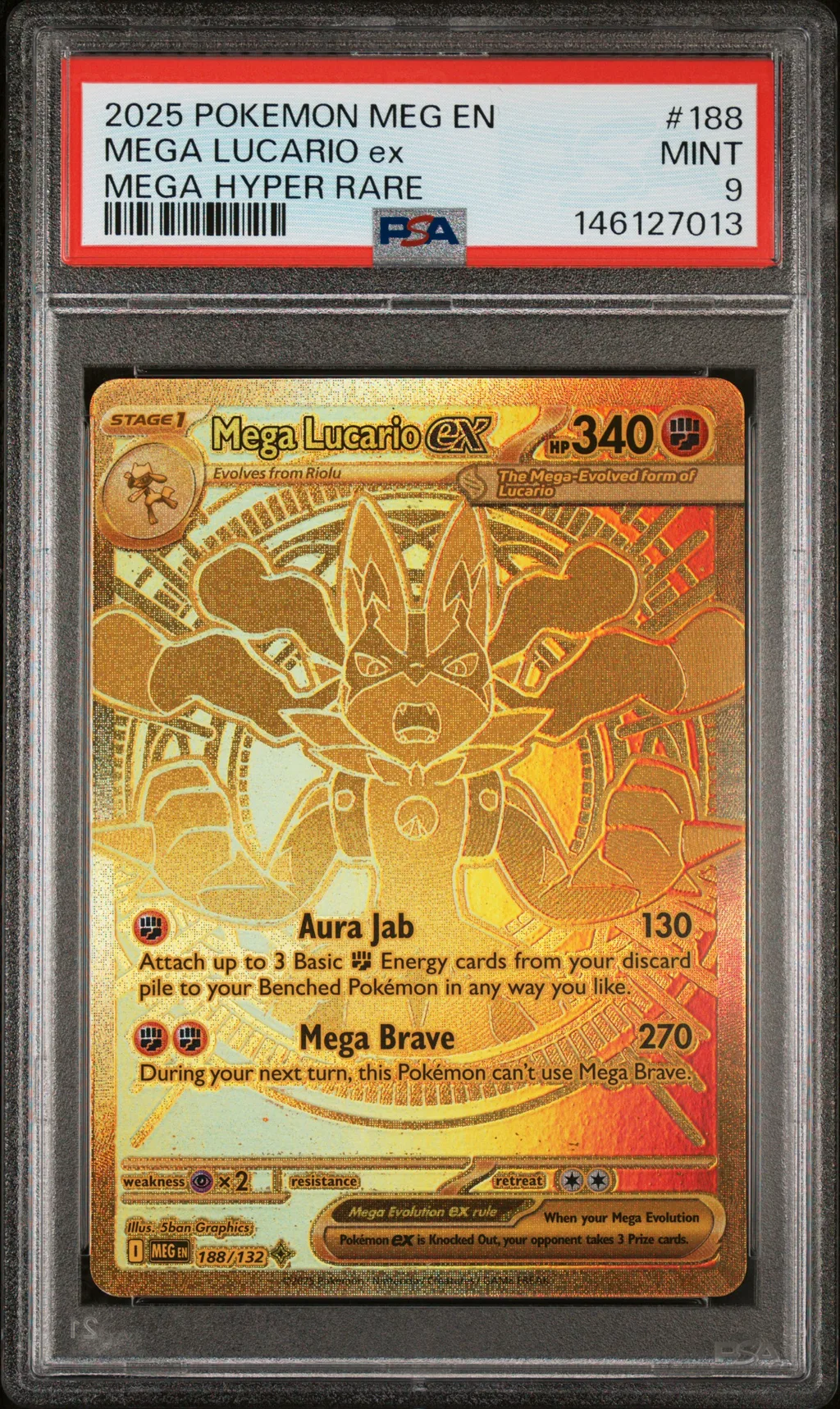 Mega Lucario EX card artwork