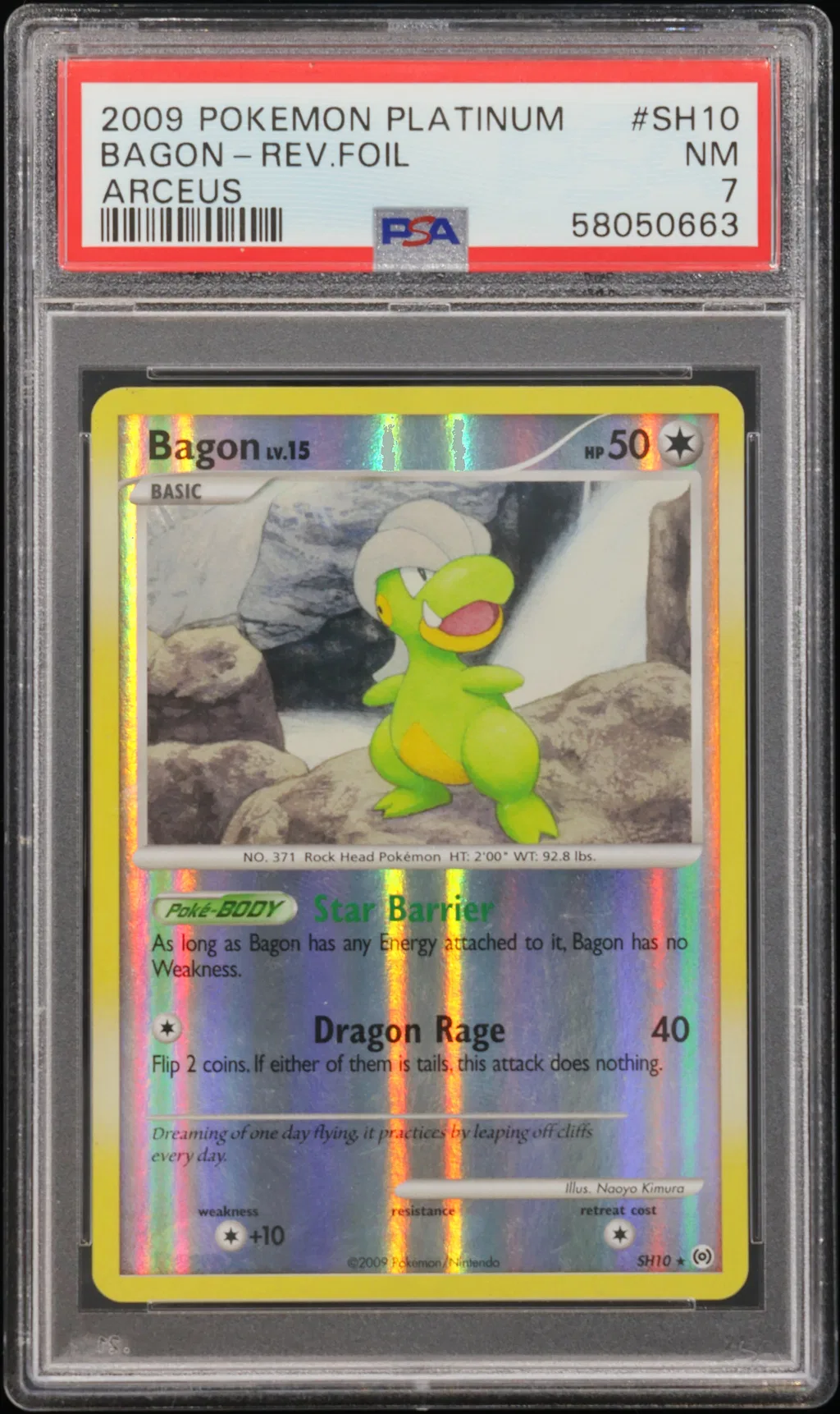 Bagon-Reverse Foil card artwork