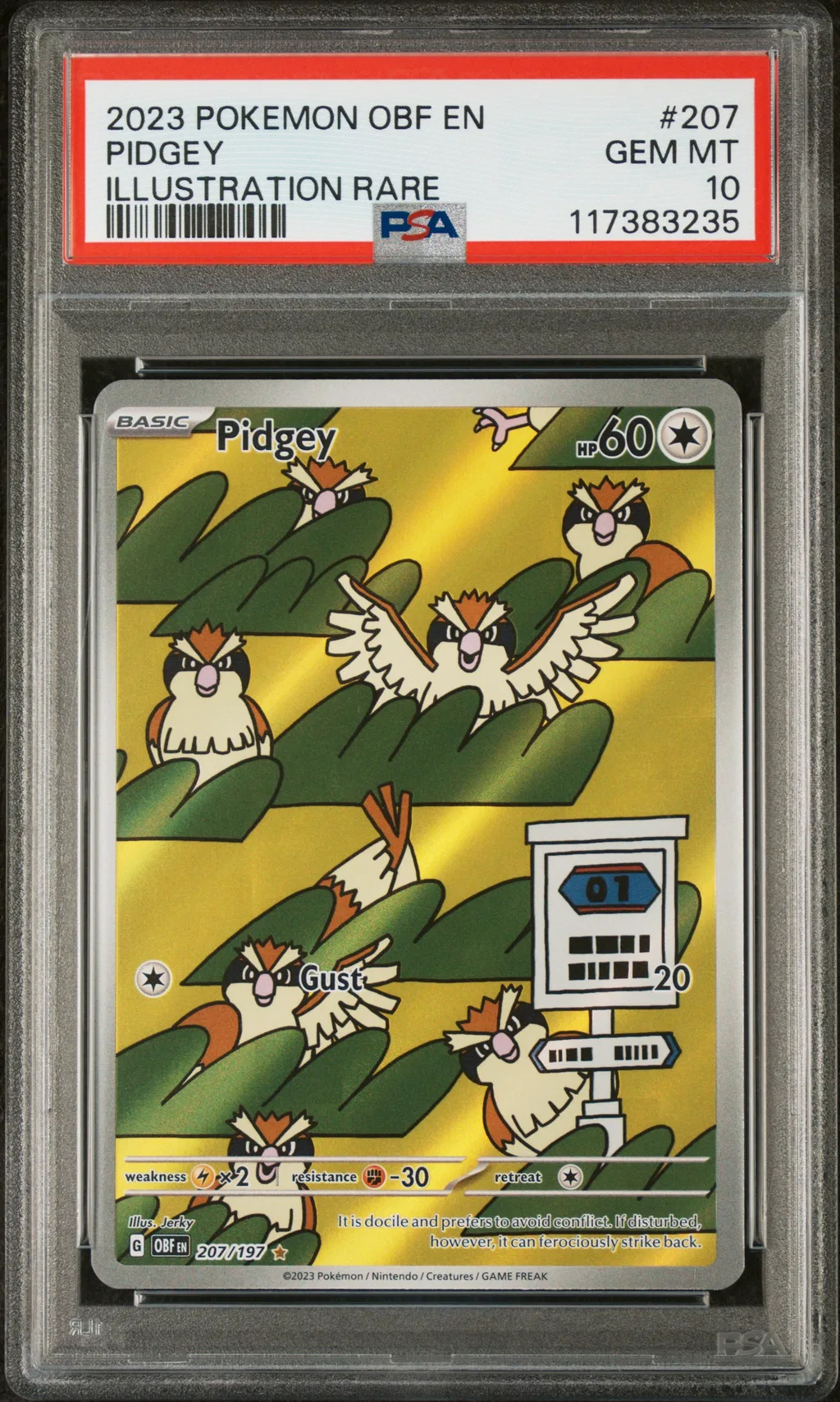 Pidgey card artwork