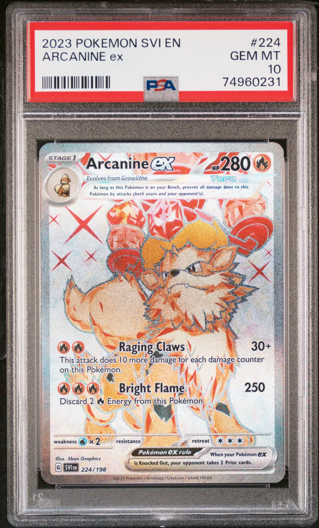 Arcanine EX card artwork