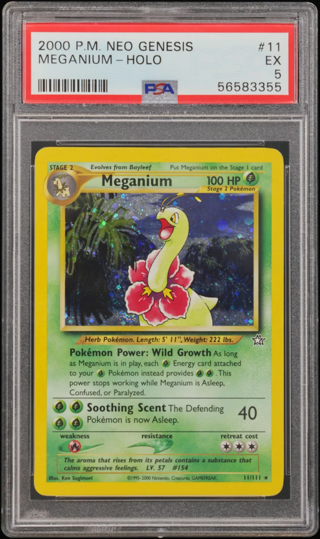 Meganium-Holo card artwork