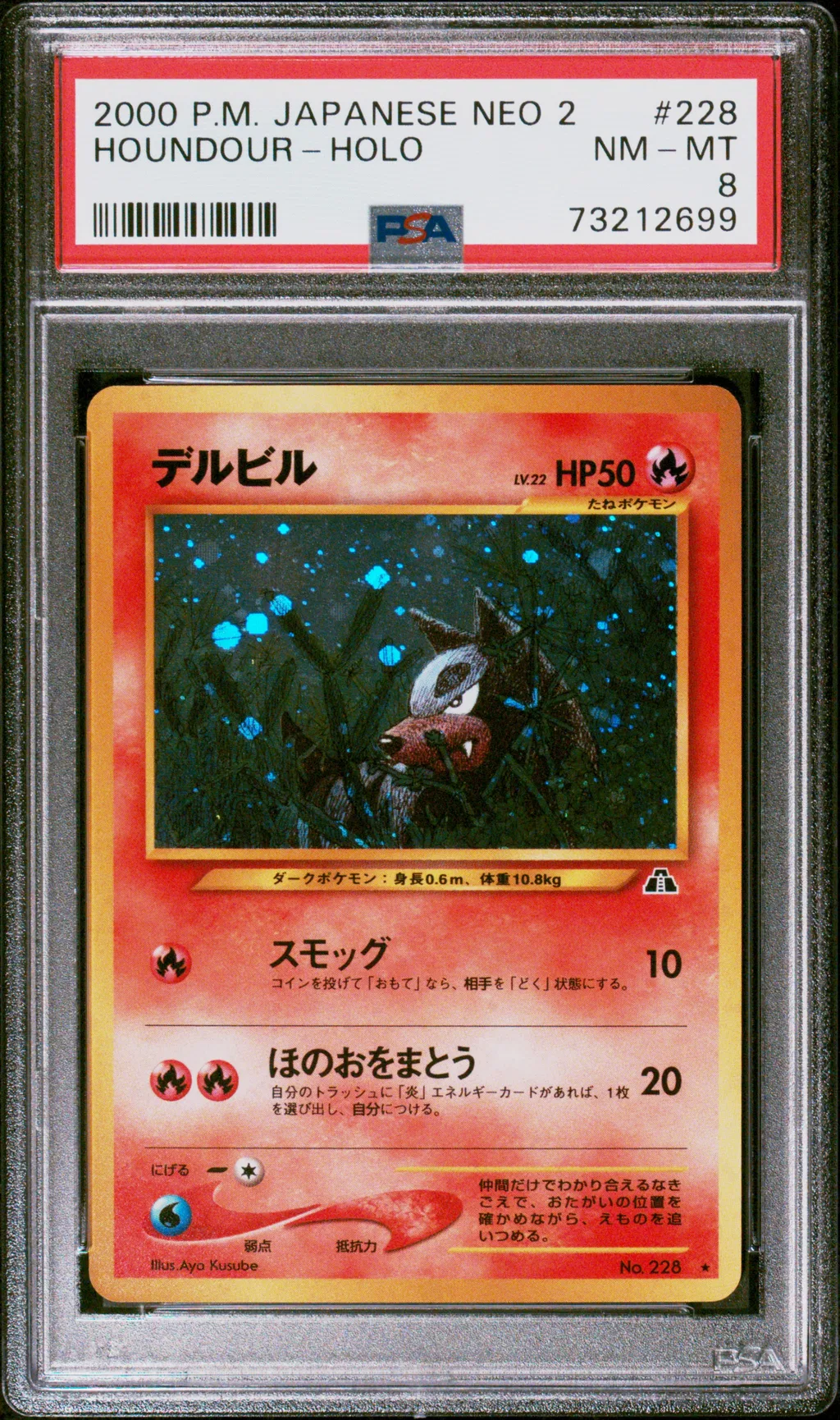 Houndour-Holo card artwork