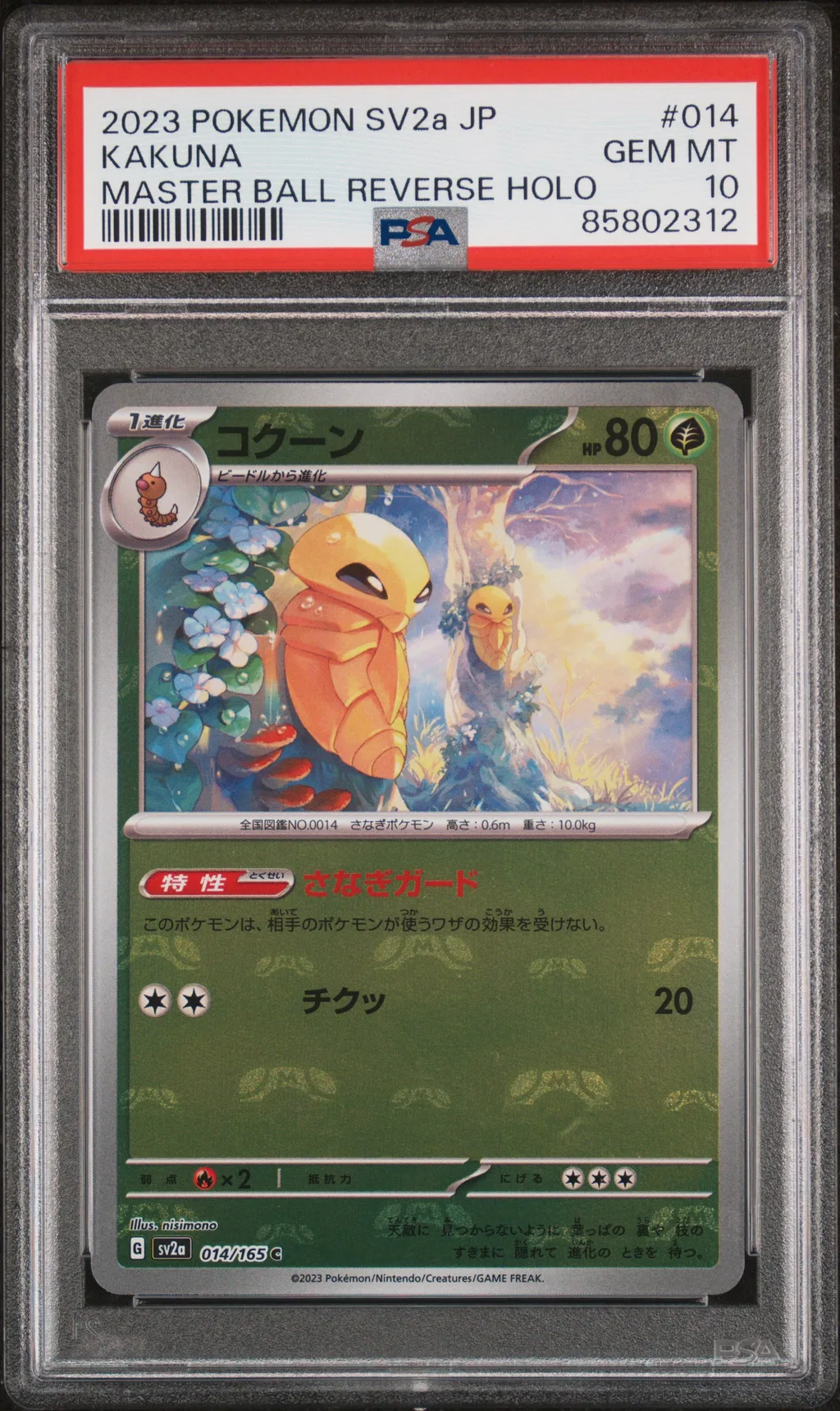 Kakuna card artwork